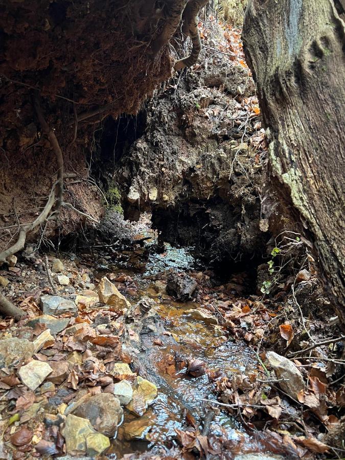 فندق Hartridge Springs هونيتون المظهر الخارجي الصورة
